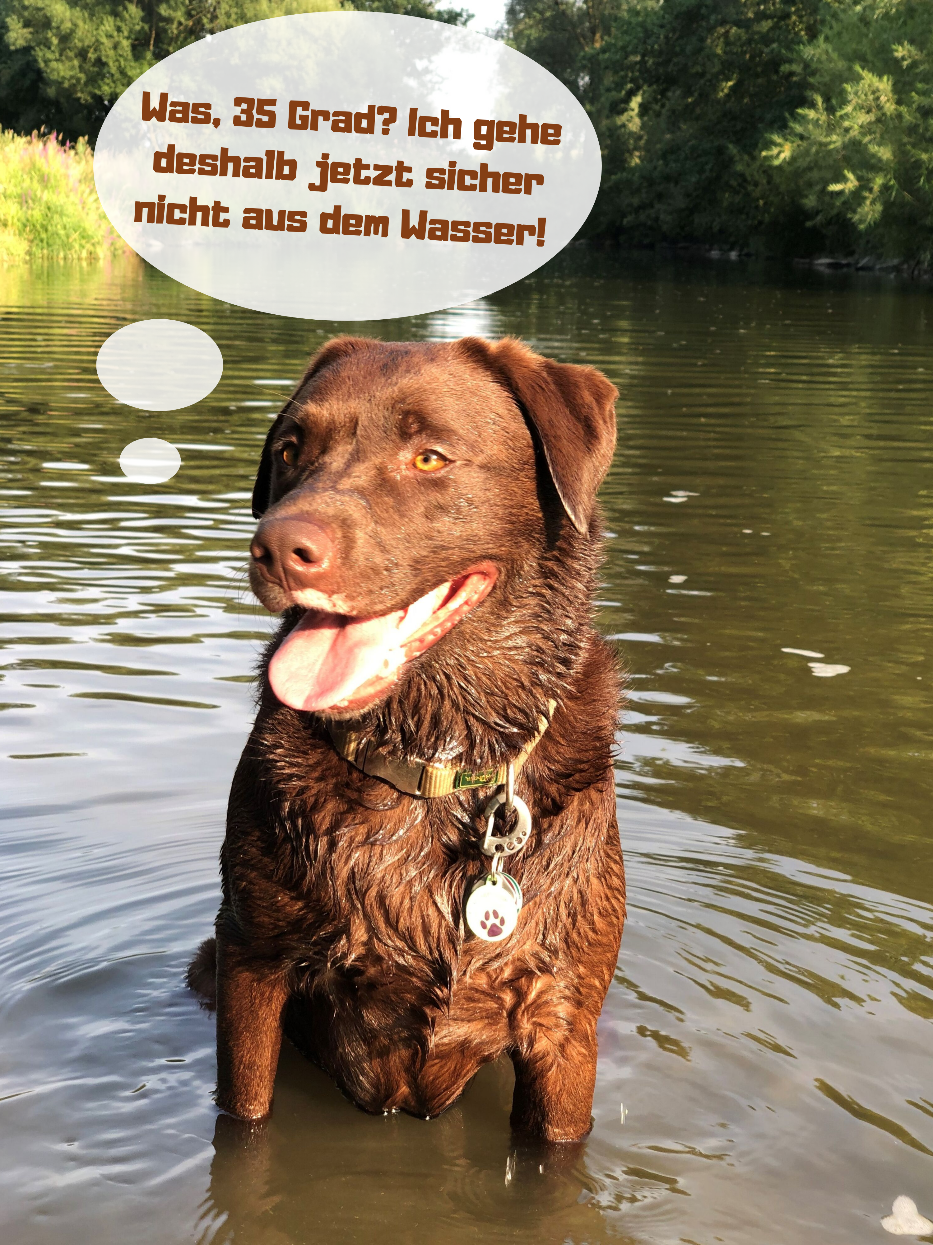 Labi-Wasser Labi-Wasser
