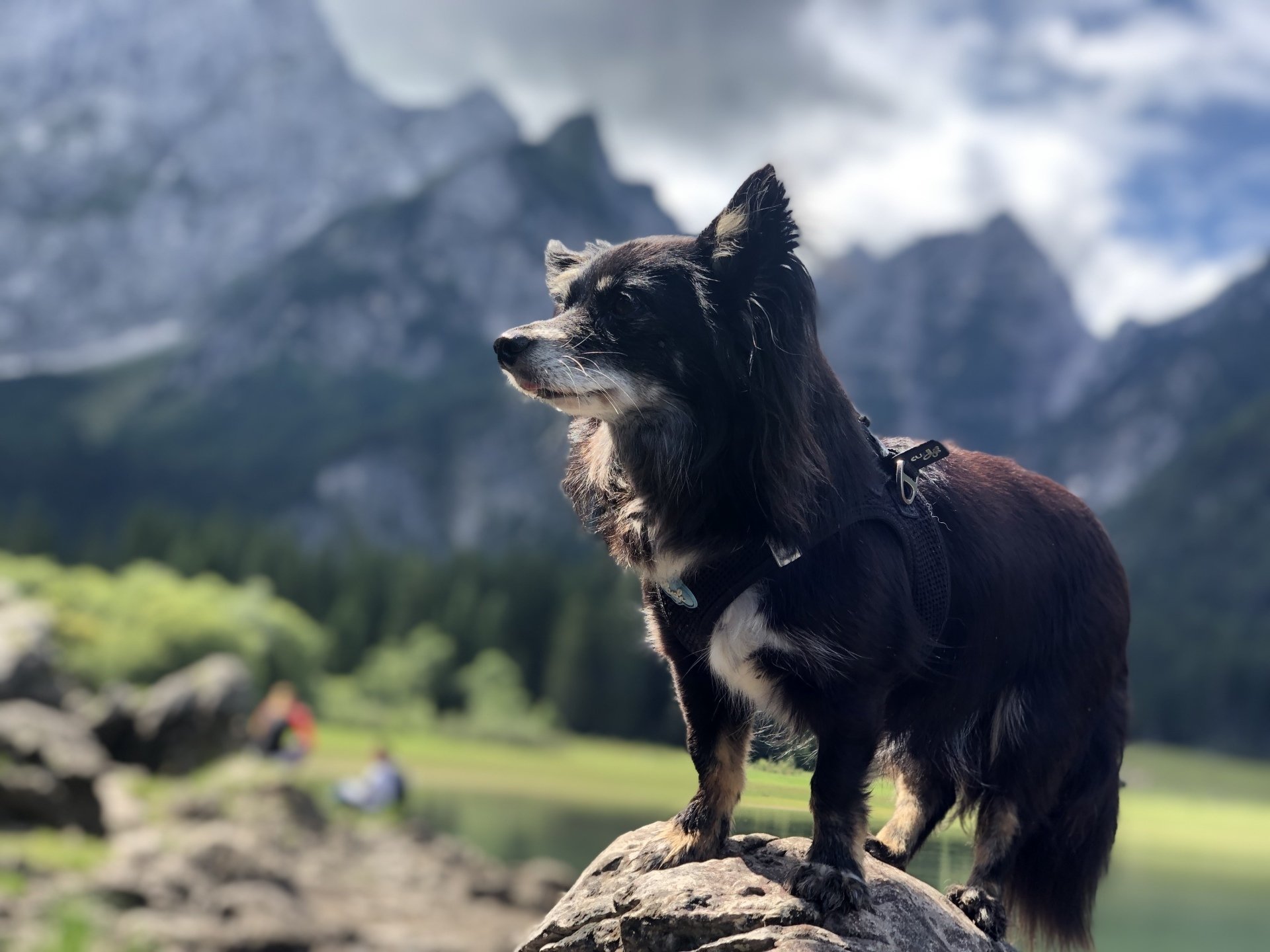 Carlo posiert am Berg beim Wandern
