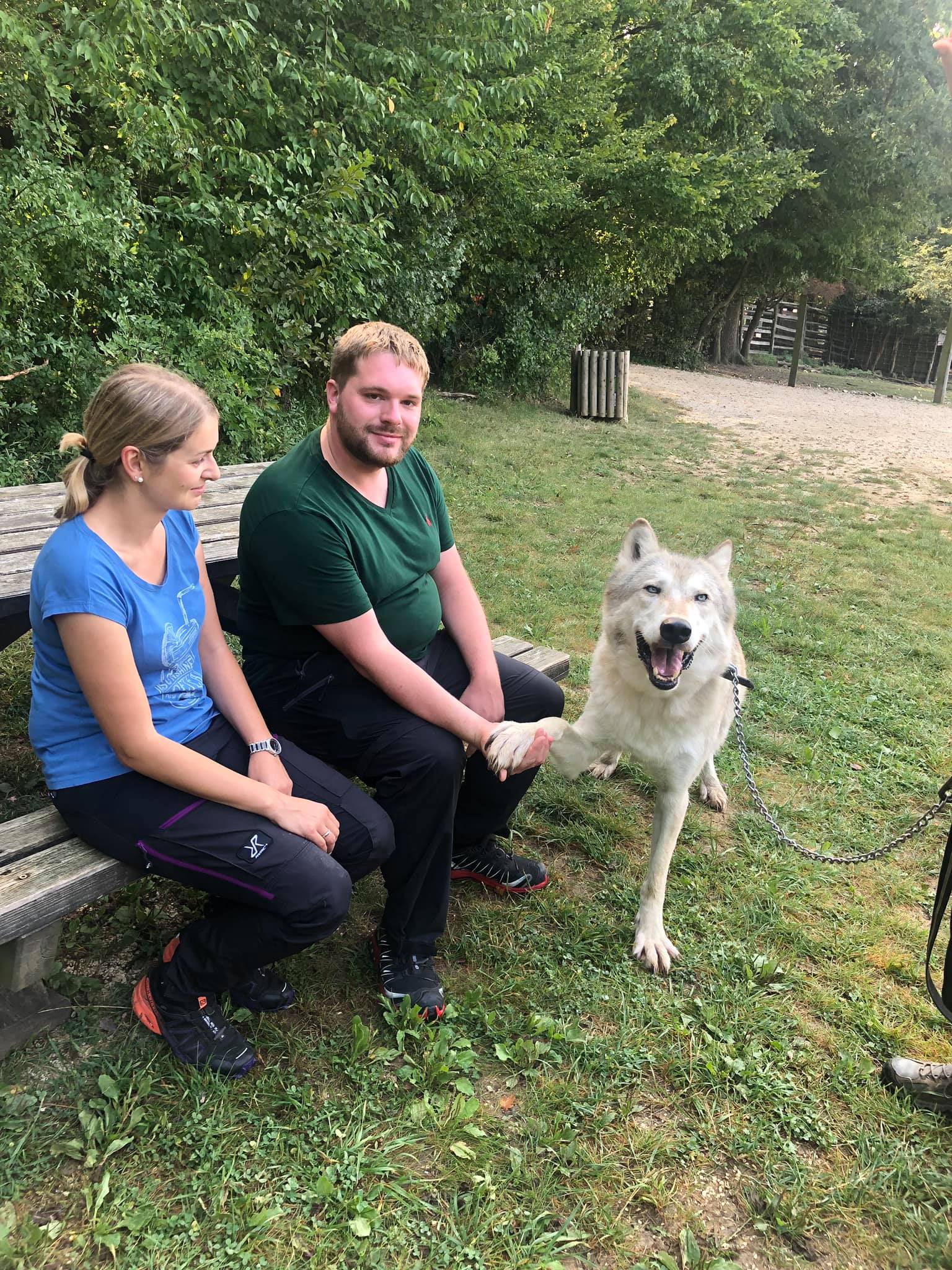 Wolfsspaziergang mit Chitto