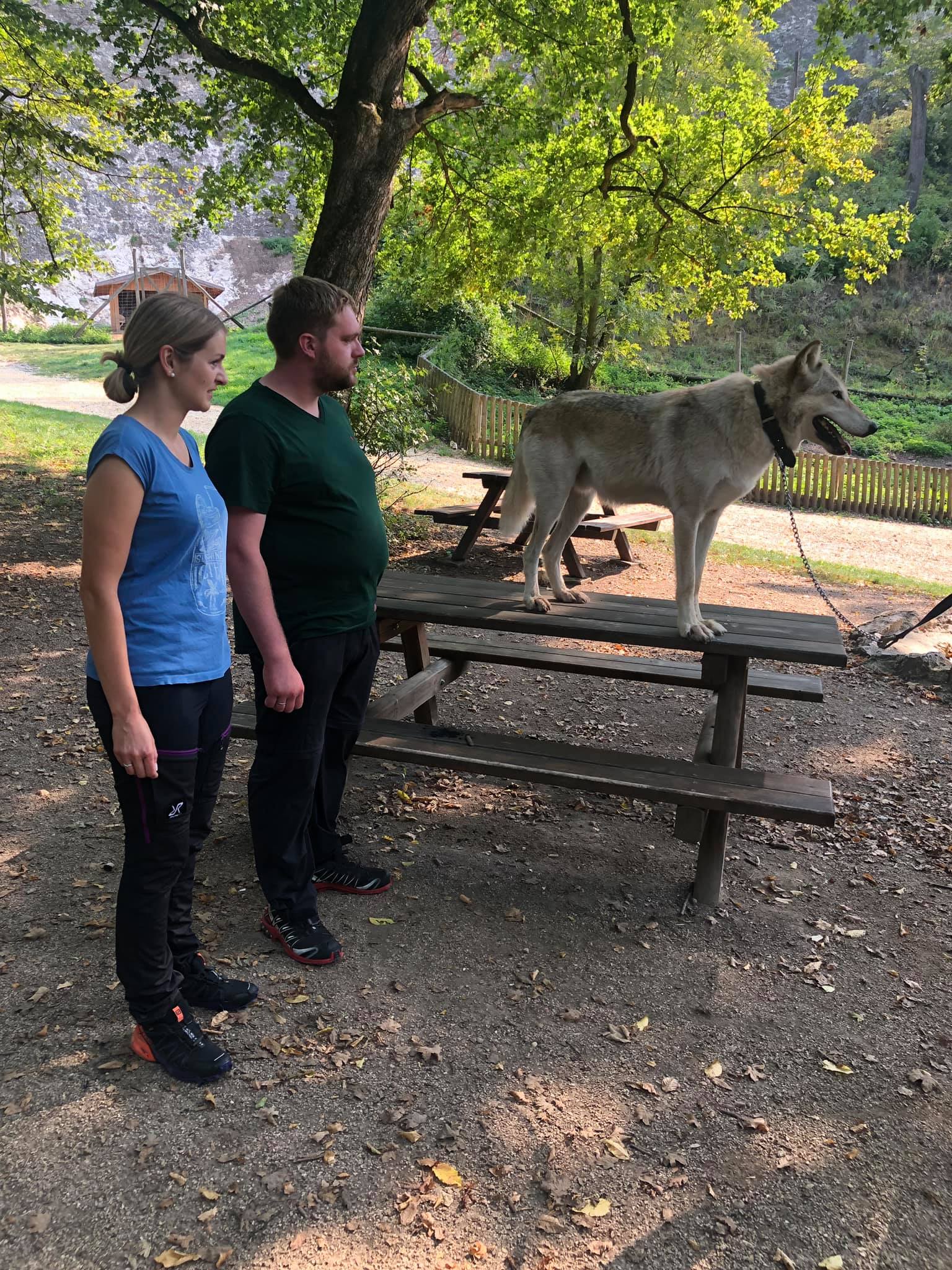 Wolfsspaziergang mit Chitto