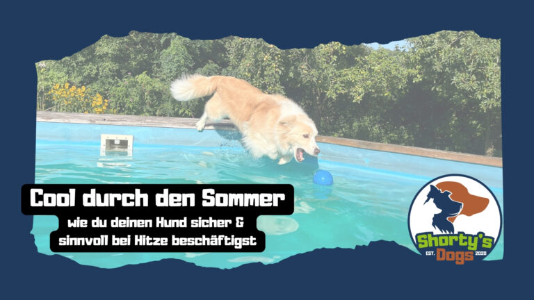 Cool durch den Sommer